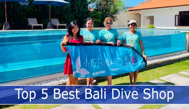 Explore Neptune Scuba Diving's Ocean Adventures